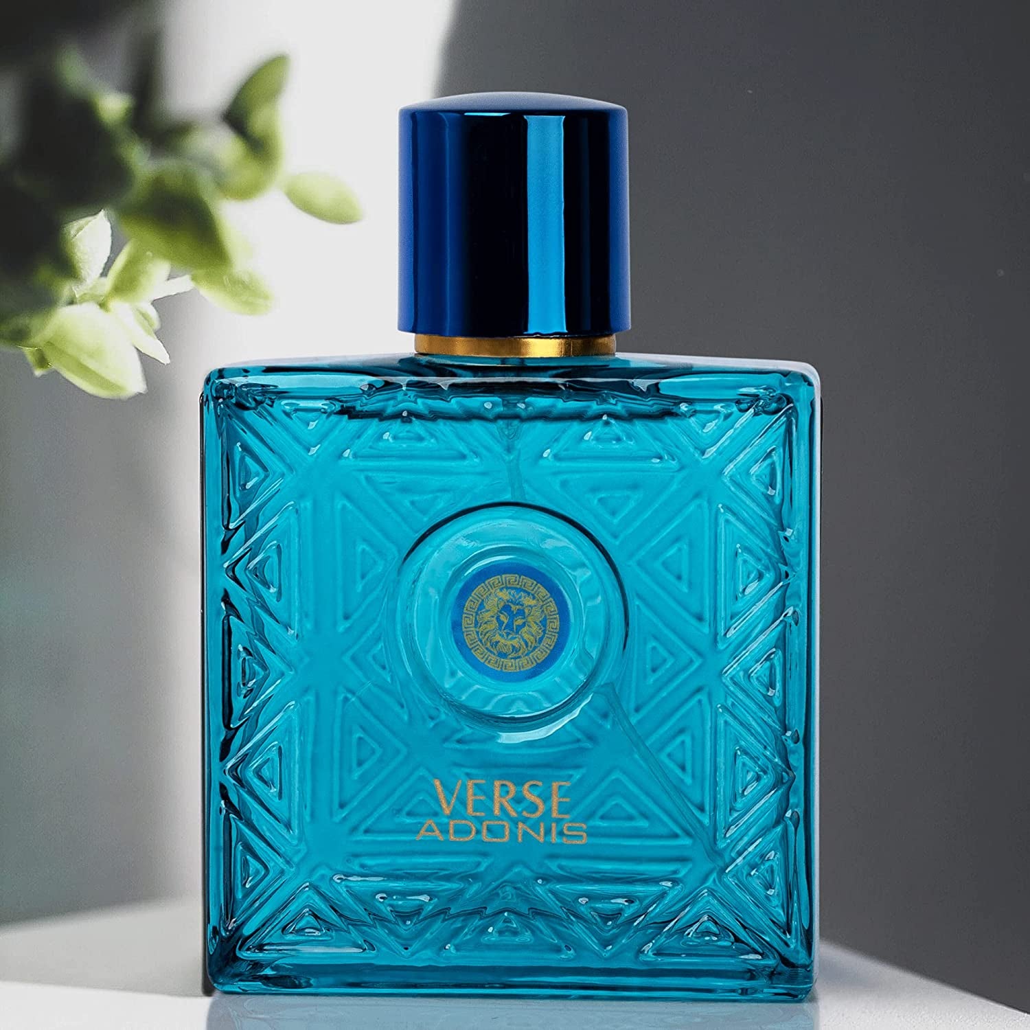 NovoGlow Verse Adonis for Men - 3.4 Fl. Oz. 100ml Men's Perfume Carrying Pouch - Refreshing Combination of Woody Floral & Fruity Scents - Masculine Scent Lasts All Day A Gift for Any Occasion