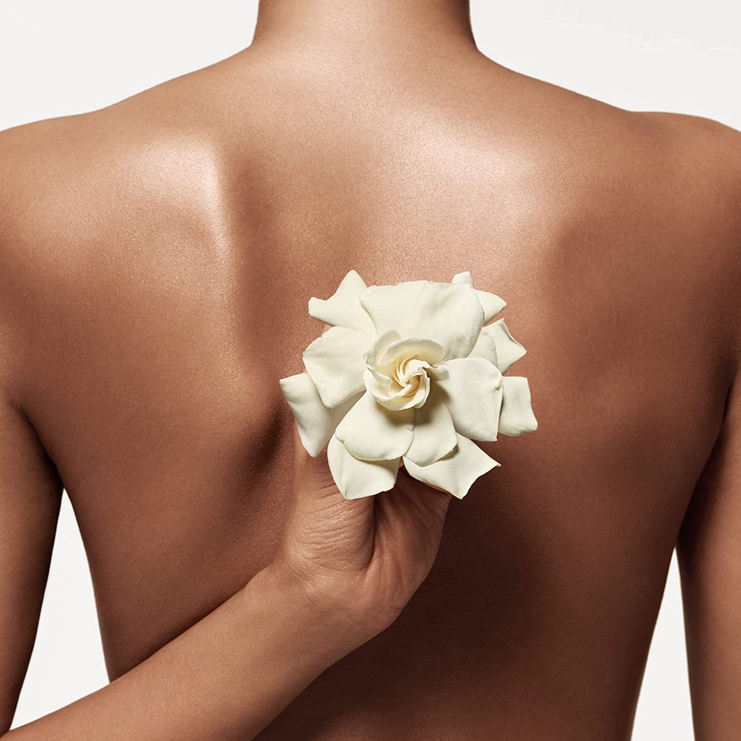 Donna Karan Cashmere Mist Eau de Parfum